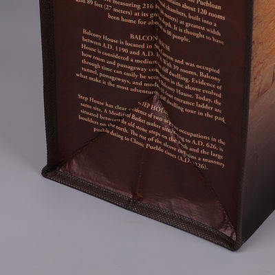 Lightweight Pantone Color PP Non Woven Bag For Packing