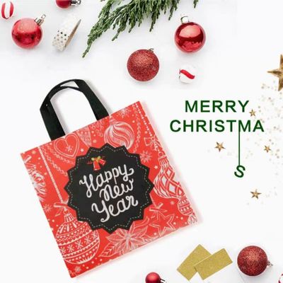 10 Kgs Heavy Duty Waterproof Non Woven Fabric Carry Bags ,  Foldable Non Woven Bag