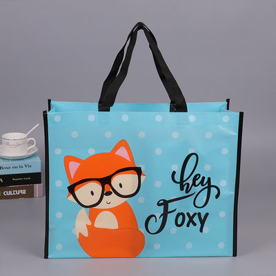 Durable OEM Service Promotional Carry Bag For Garments Shop