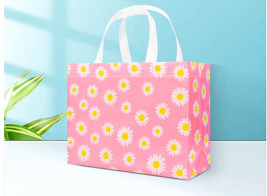 Strong Promotional Gloss Lamination PP Non Woven Bag